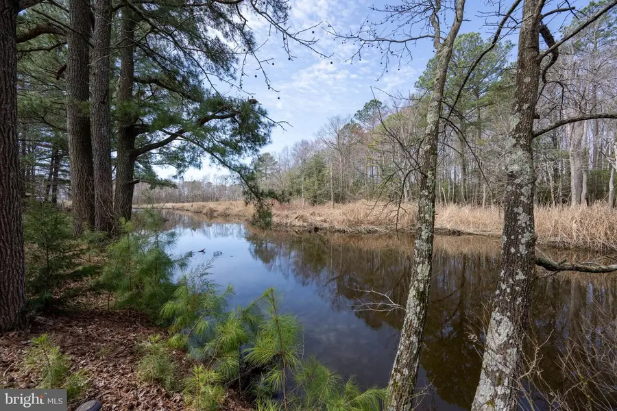 11244 W Marie Dr, Bishopville, MD 21813 - #2