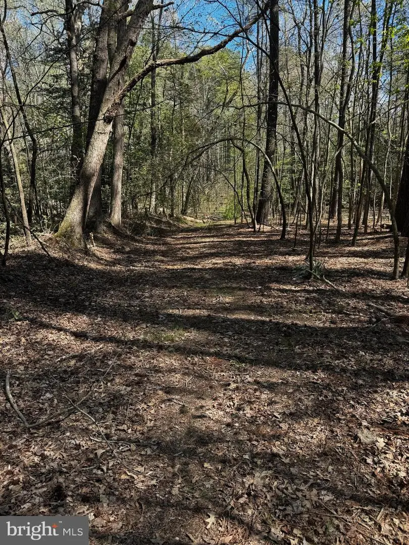 0 Public Landing Rd, Snow Hill, MD 21863 - #1