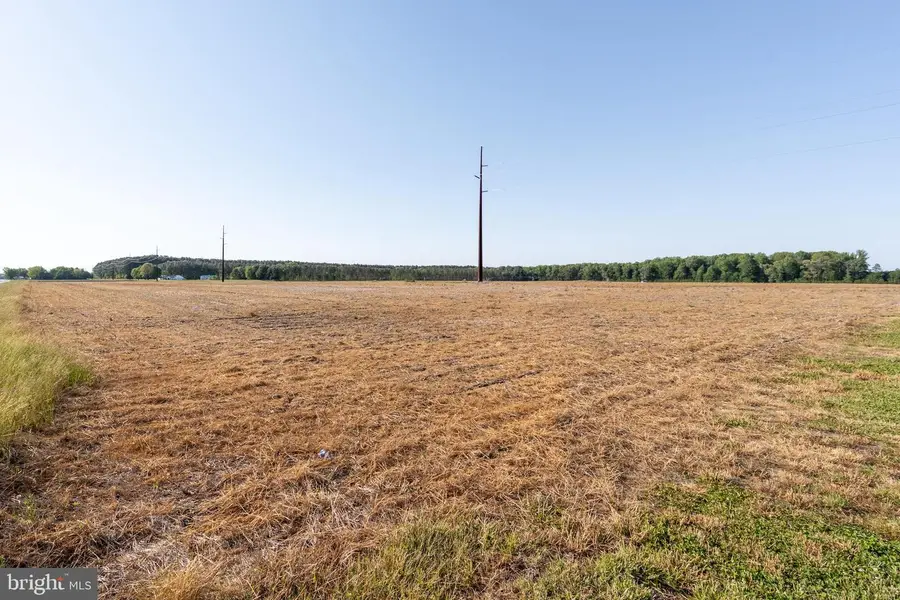 Lot 3 Old Ocean City Rd, Berlin, MD 21811 - #2