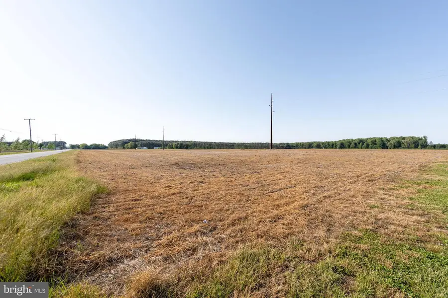 Lot 3 Old Ocean City Rd, Berlin, MD 21811 - #3