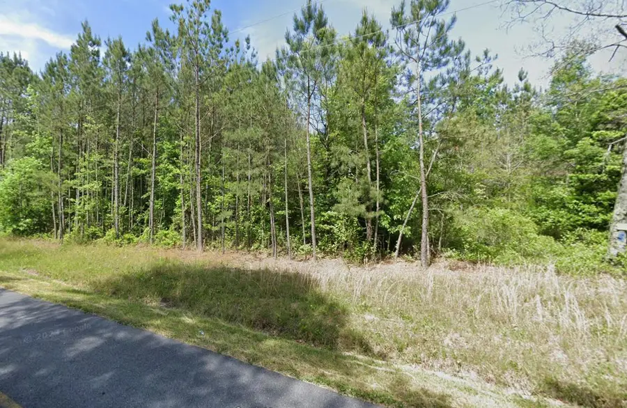 0 Mt Olive Church Rd, Snow Hill, MD 21863 - #3
