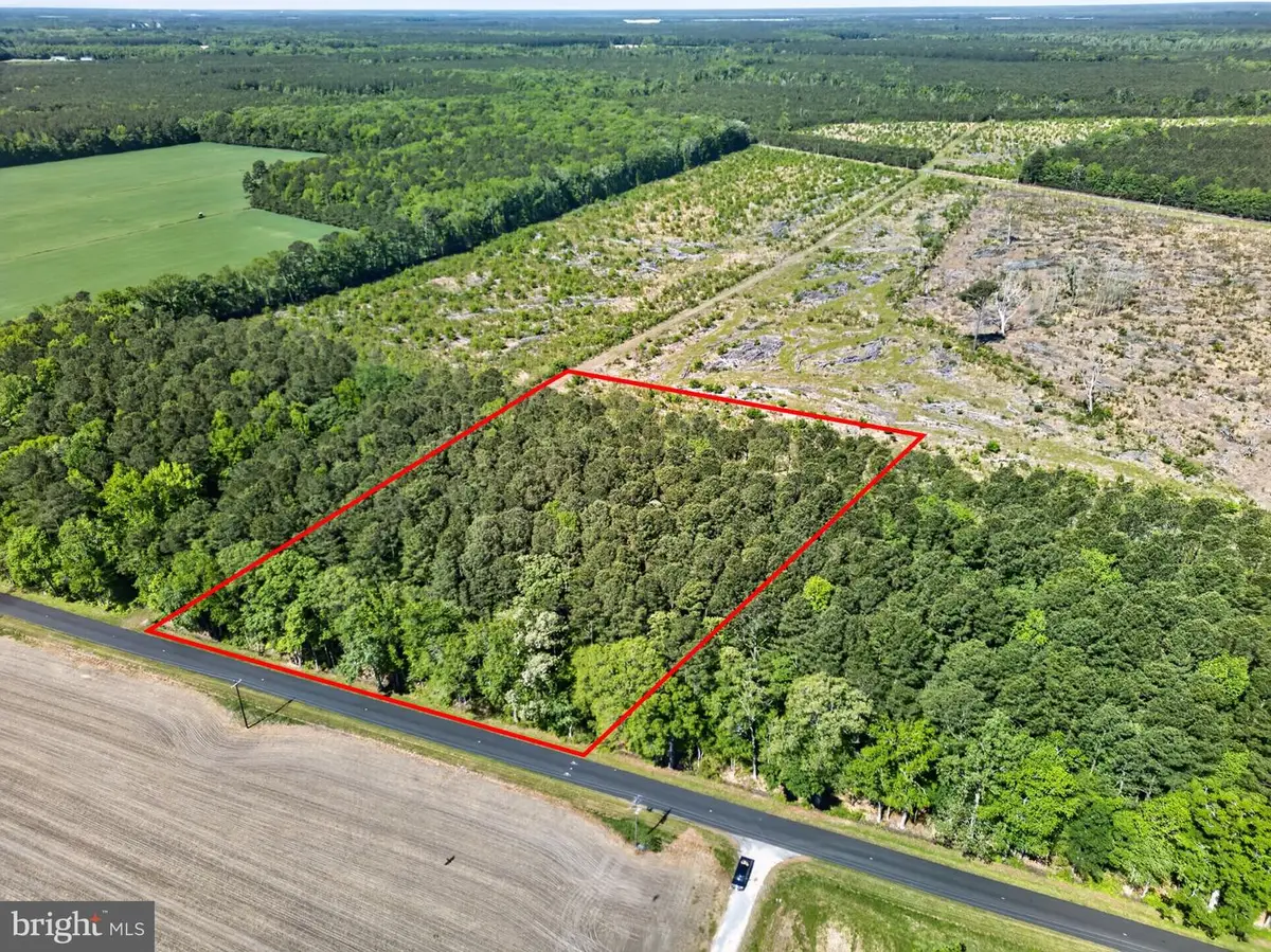 0 Downs, Newark, MD 21841 - #1
