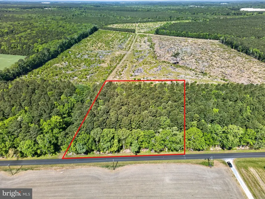 0 Downs, Newark, MD 21841 - #2