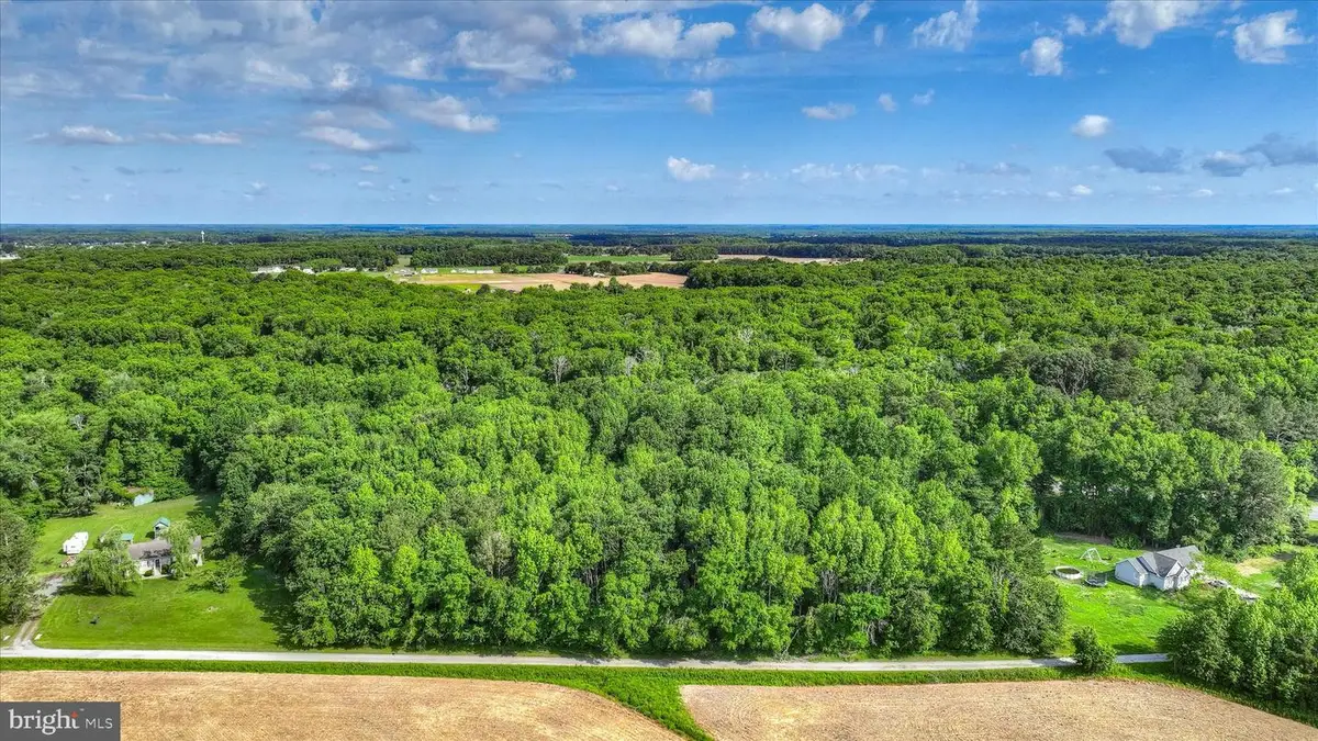 Lots 3 & 4 Bell Ln, Whaleyville, MD 21872 - #1