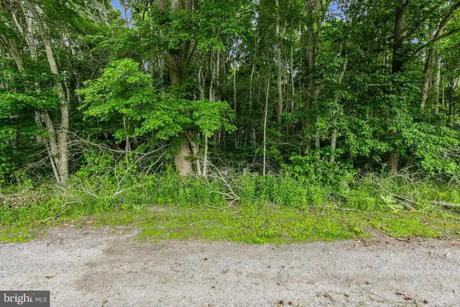 Lots 3 & 4 Bell Ln, Whaleyville, MD 21872 - #3