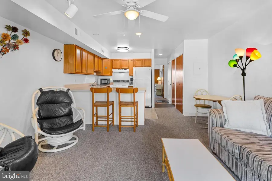 12300 Jamaica Ave #0209, Ocean City, MD 21842 - #3