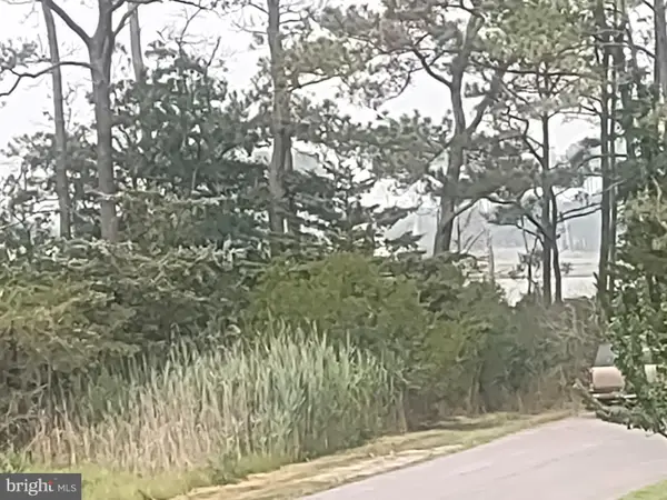 Salisbury Rd, OCEAN CITY, MD 21842