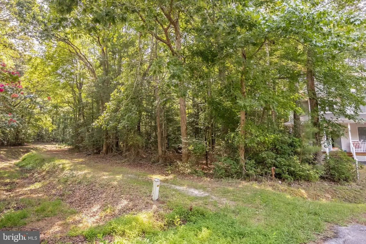 24 Sassafras Ln, Ocean Pines, MD 21811 - #1