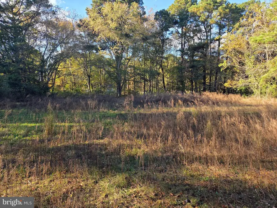 5514 E Market St, Snow Hill, MD 21863 - #2
