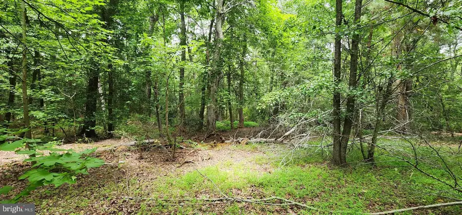 9 Cherrix Rd, Girdletree, MD 21829 - #2
