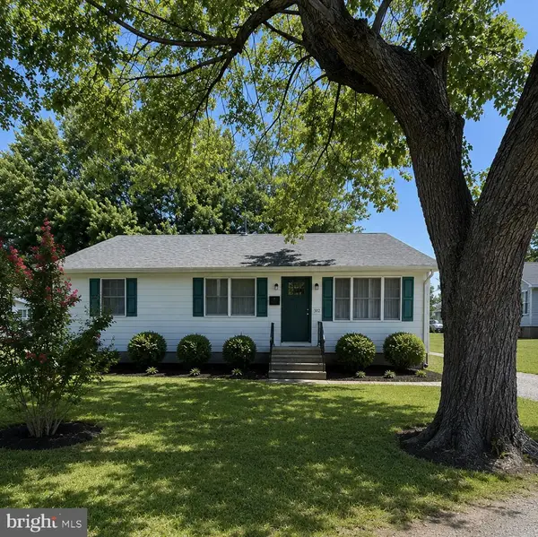 302 Belt St, SNOW HILL, MD 21863