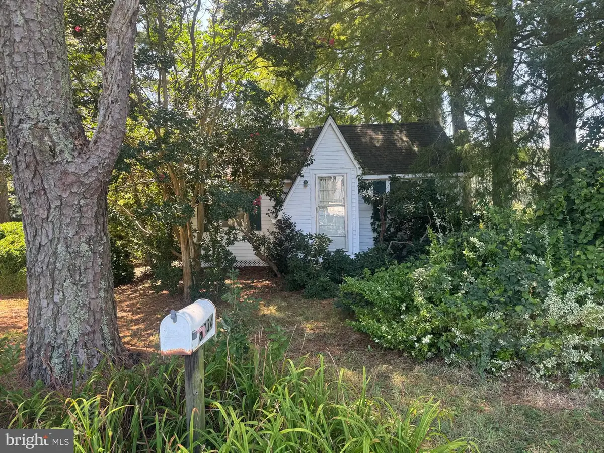 8334 3rd St, Snow Hill, MD 21863 - #1