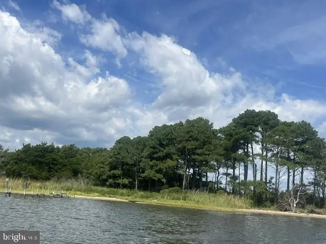 Corn Hammock Island, Bishopville, MD 21813 - #1