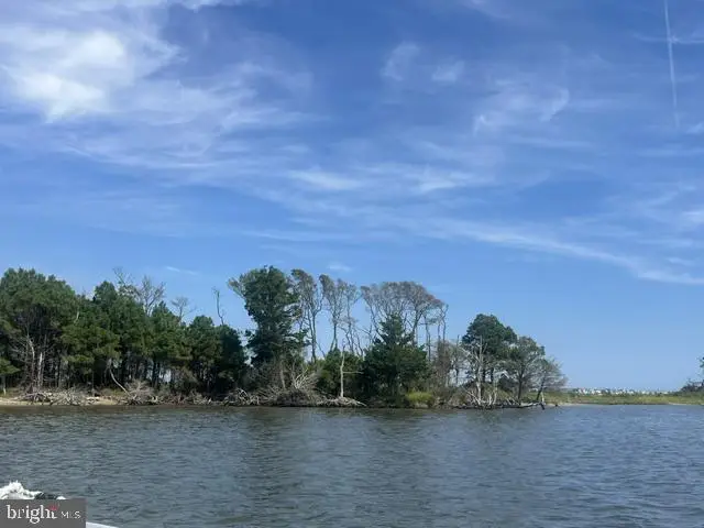 Corn Hammock Island, Bishopville, MD 21813 - #3