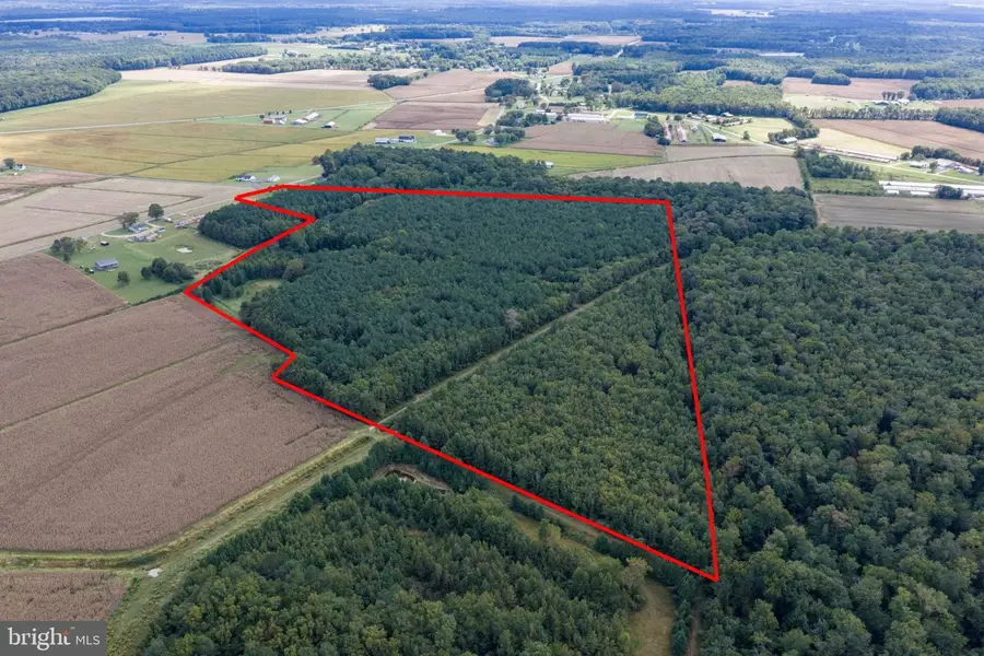 12135 Blueberry Rd, Whaleyville, MD 21872 - #3