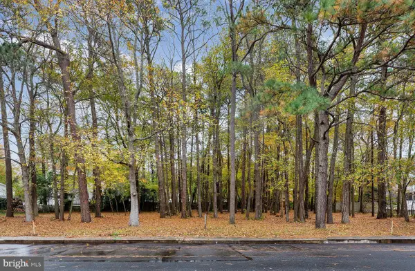 14102-b Tunnel Ave, OCEAN CITY, MD 21842