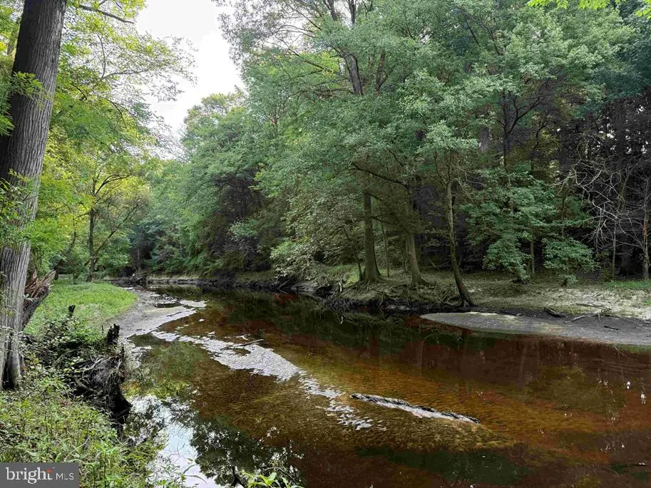 Sarecta Road (tract: Duplin), Kenansville, NC 99999 - #1