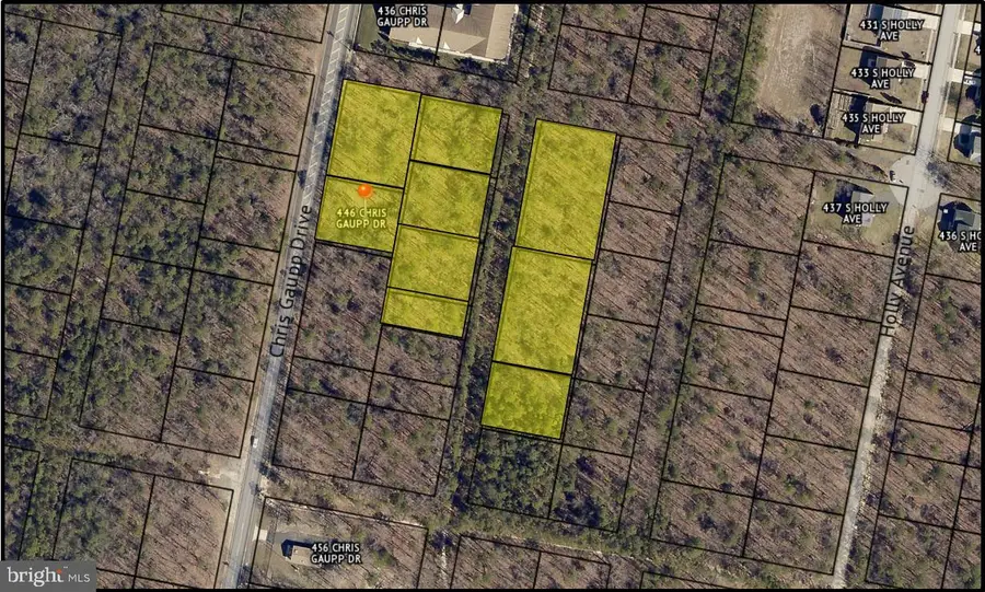 446 Chris Gaupp Dr, Galloway, NJ 08205 - Image #3
