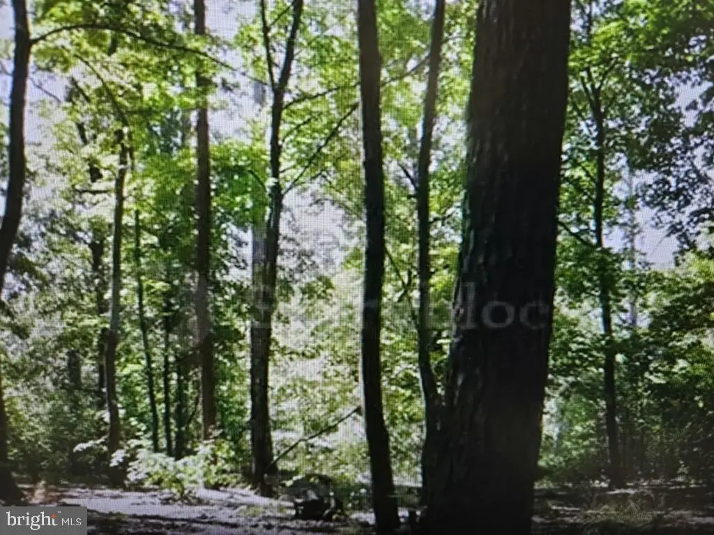 70--72 Maple Ave, Estell Manor, NJ 08319 - Image #1