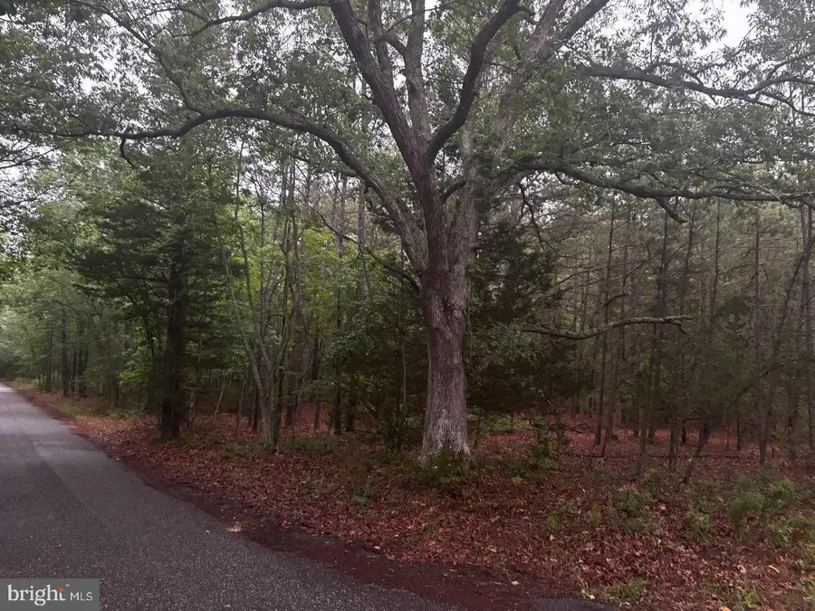 6756 Sixteenth Ave, Mays Landing, NJ 08330 - Image #2