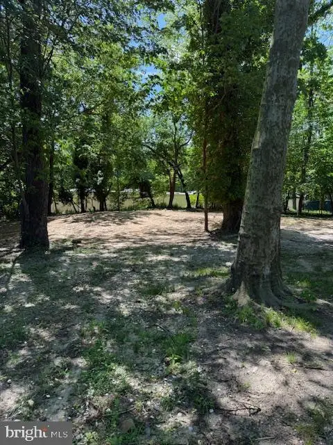 #3