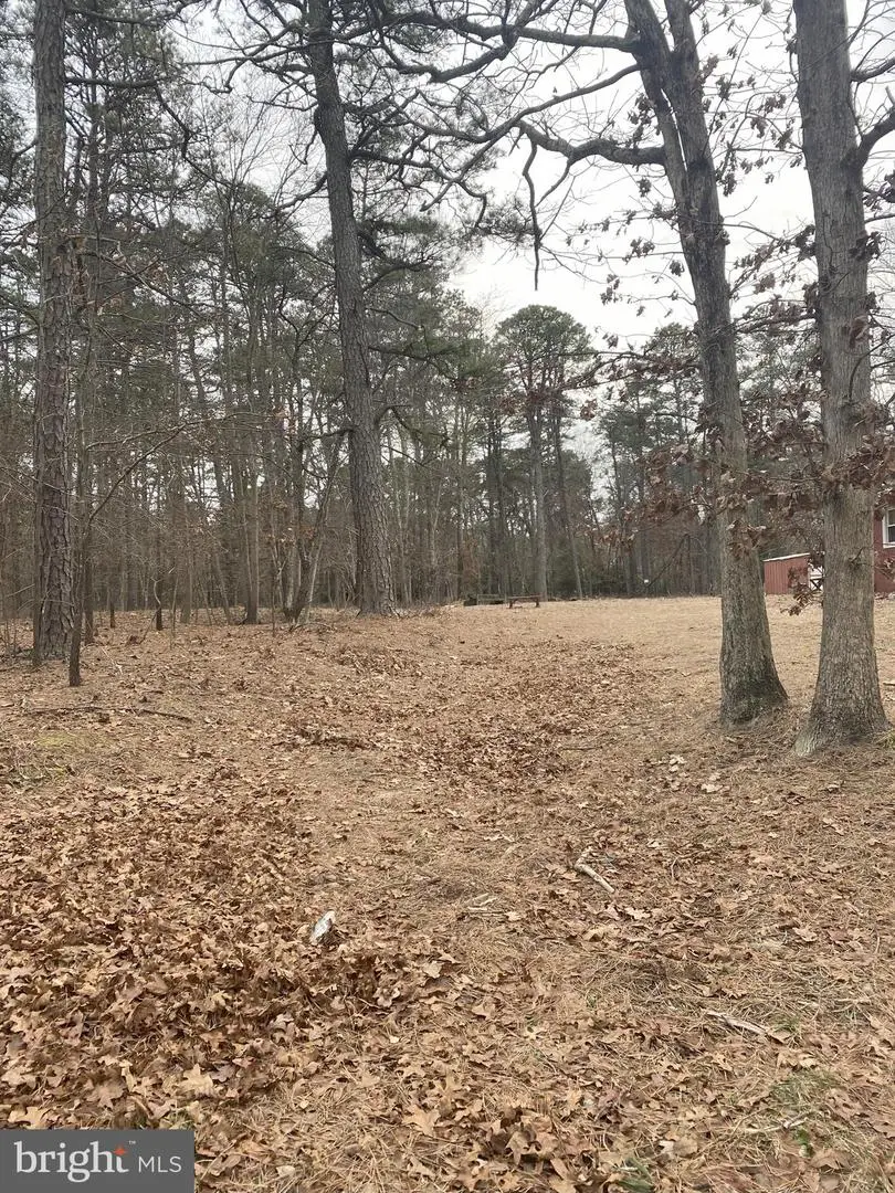 0 S Lakeshore Dr, Browns Mills, NJ 08015 - Image #2