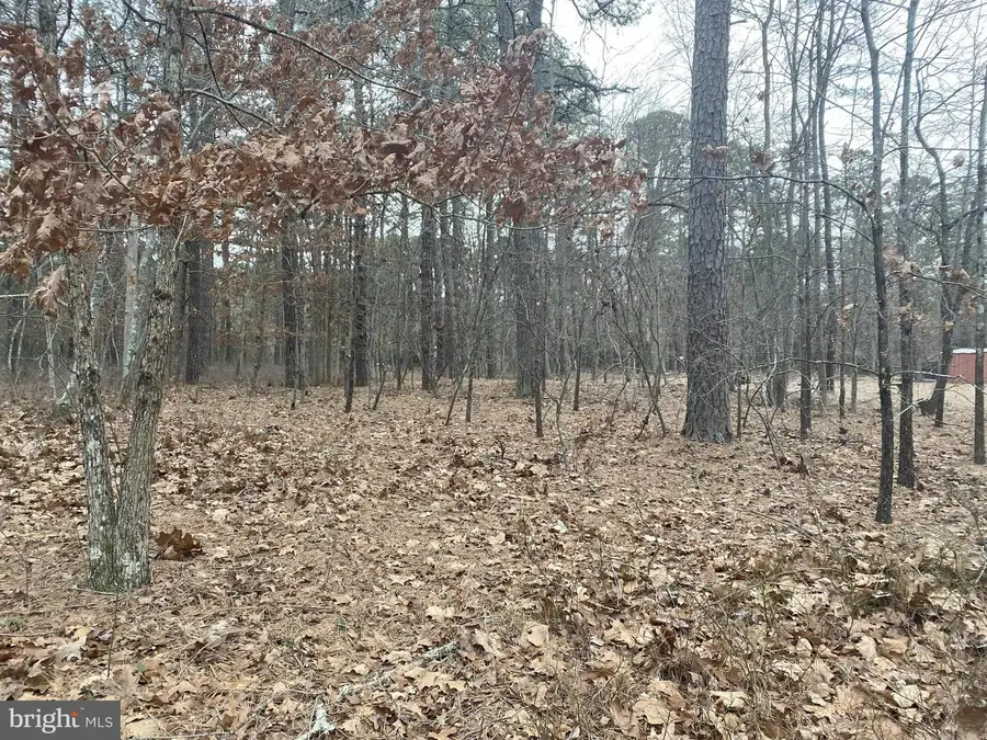 0 S Lakeshore Dr, Browns Mills, NJ 08015 - Image #3