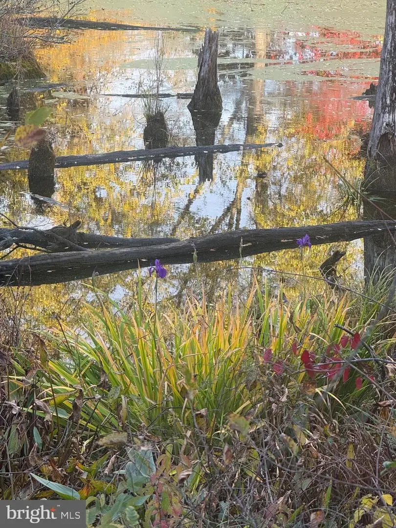 1536 Jason Dr, Cinnaminson, NJ 08077 - Image #3