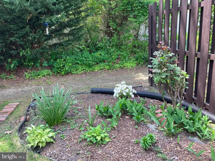 93 Beechnut Ct, Lumberton, NJ 08048 - Image #3