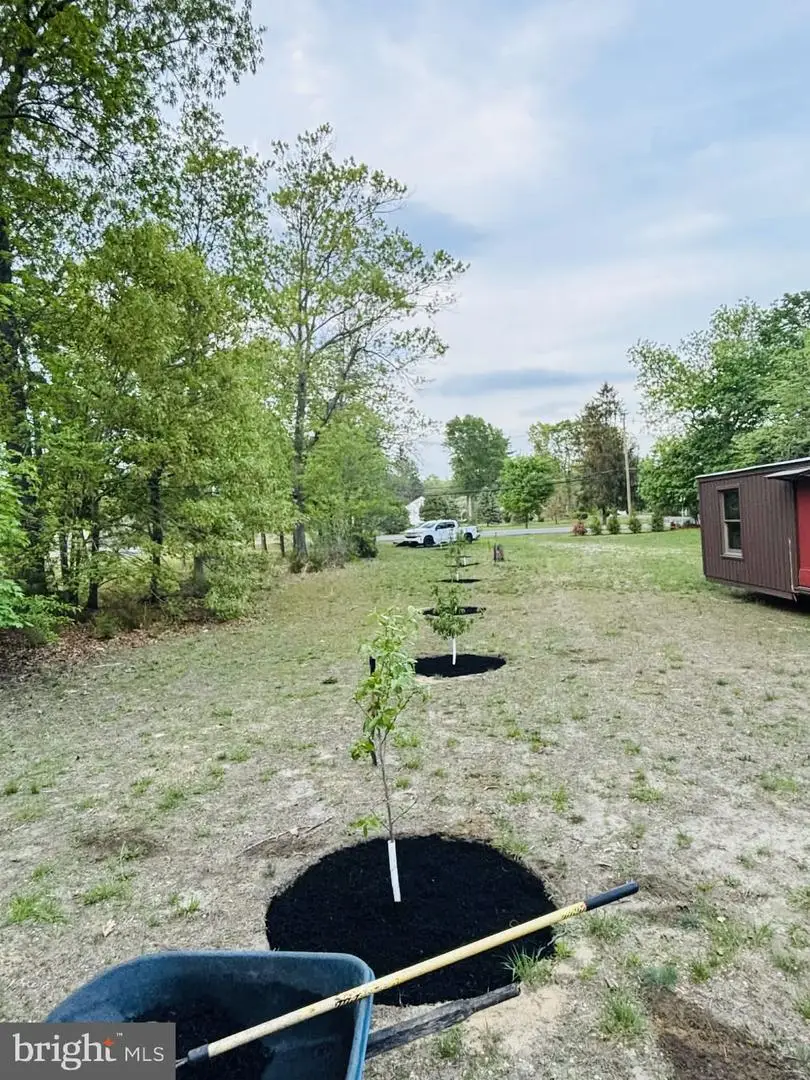 26 Magnolia Rd, Pemberton, NJ 08068 - #3