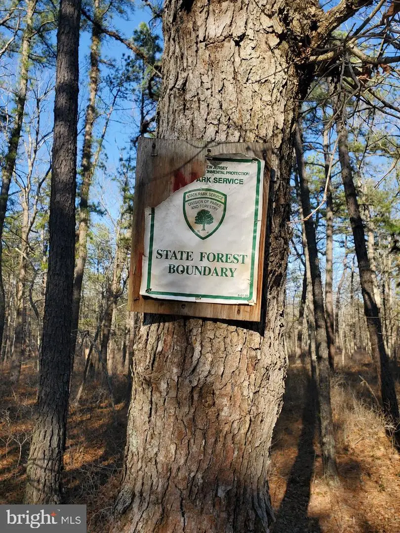 0 Mt Misery Rd, Manchester, NJ 08759 - #3