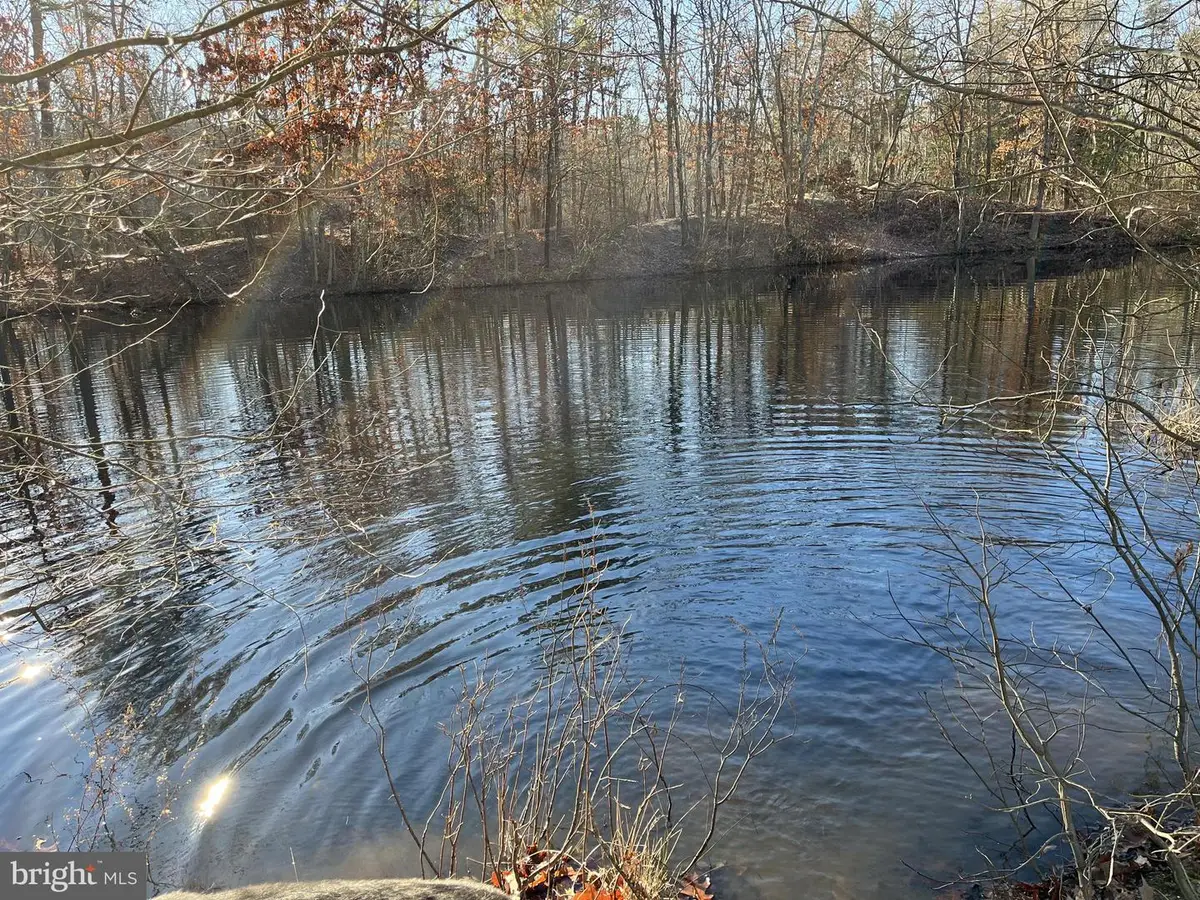 Rt. 206 & Forked Neck Rd, Shamong, NJ 08088 - #1