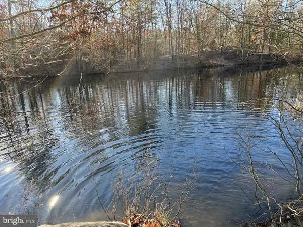 Rt. 206 & Forked Neck Rd, SHAMONG, NJ 08088