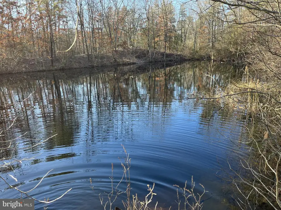 Rt. 206 & Forked Neck Rd, Shamong, NJ 08088 - #2