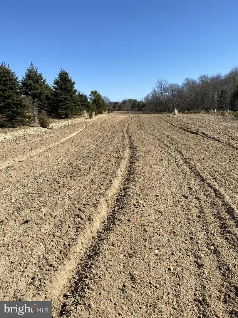 Rt. 206 & Forked Neck Rd, Shamong, NJ 08088 - #3