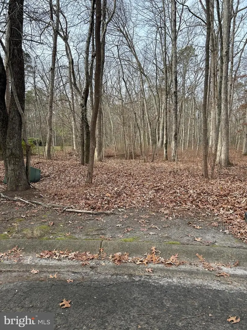30 Muskingum Dr, Shamong, NJ 08088 - #1