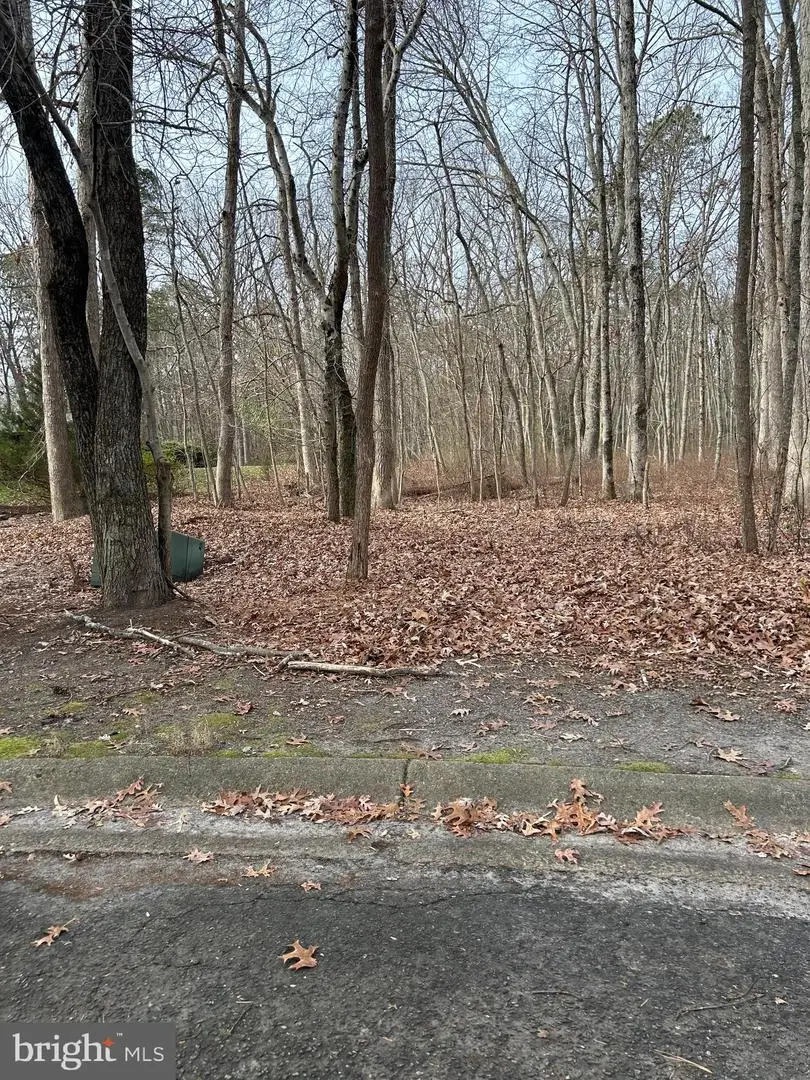 30 Muskingum Dr, Shamong, NJ 08088 - #2