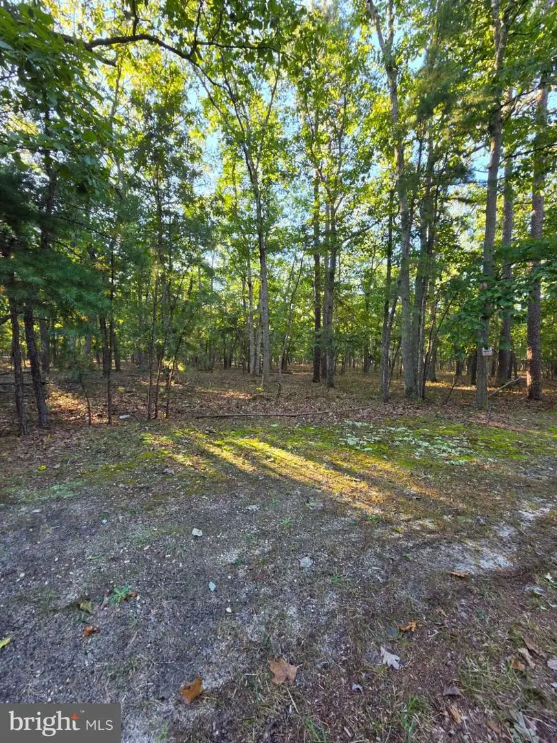 2 Red Onion Ct #0, Tabernacle, NJ 08088 - #2