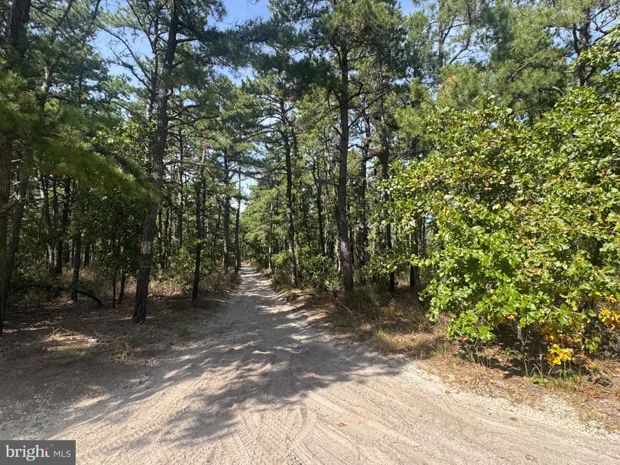 0 Lebanon Rd, Chatsworth, NJ 08019 - #3