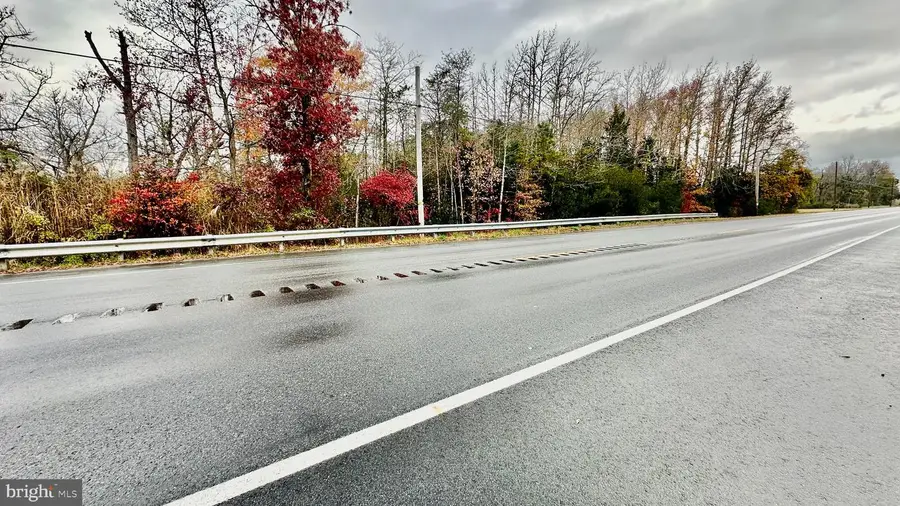 Rt-47, Port Elizabeth, NJ 08348 - Image #2