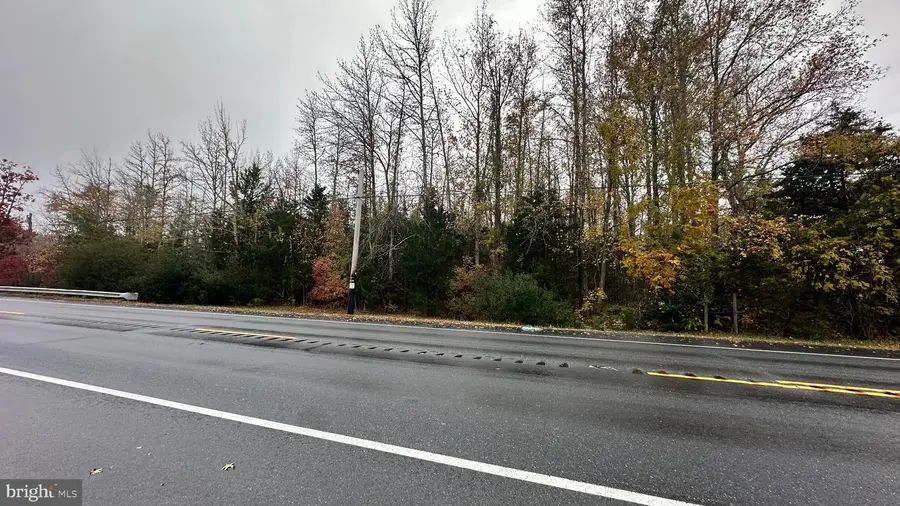 Rt-47, Port Elizabeth, NJ 08348 - Image #3