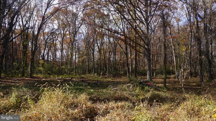 280 Gould Ave, Bridgeton, NJ 08302 - Image #2