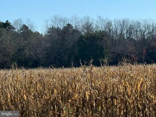 Block 88 Lot 6 Sherman Avenue, MILLVILLE, NJ 08332