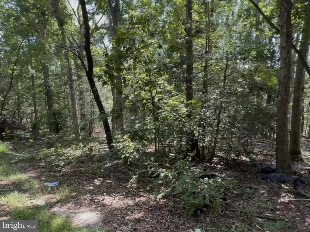 Address Withheld By Seller, Bridgeton, NJ 08302 - #1