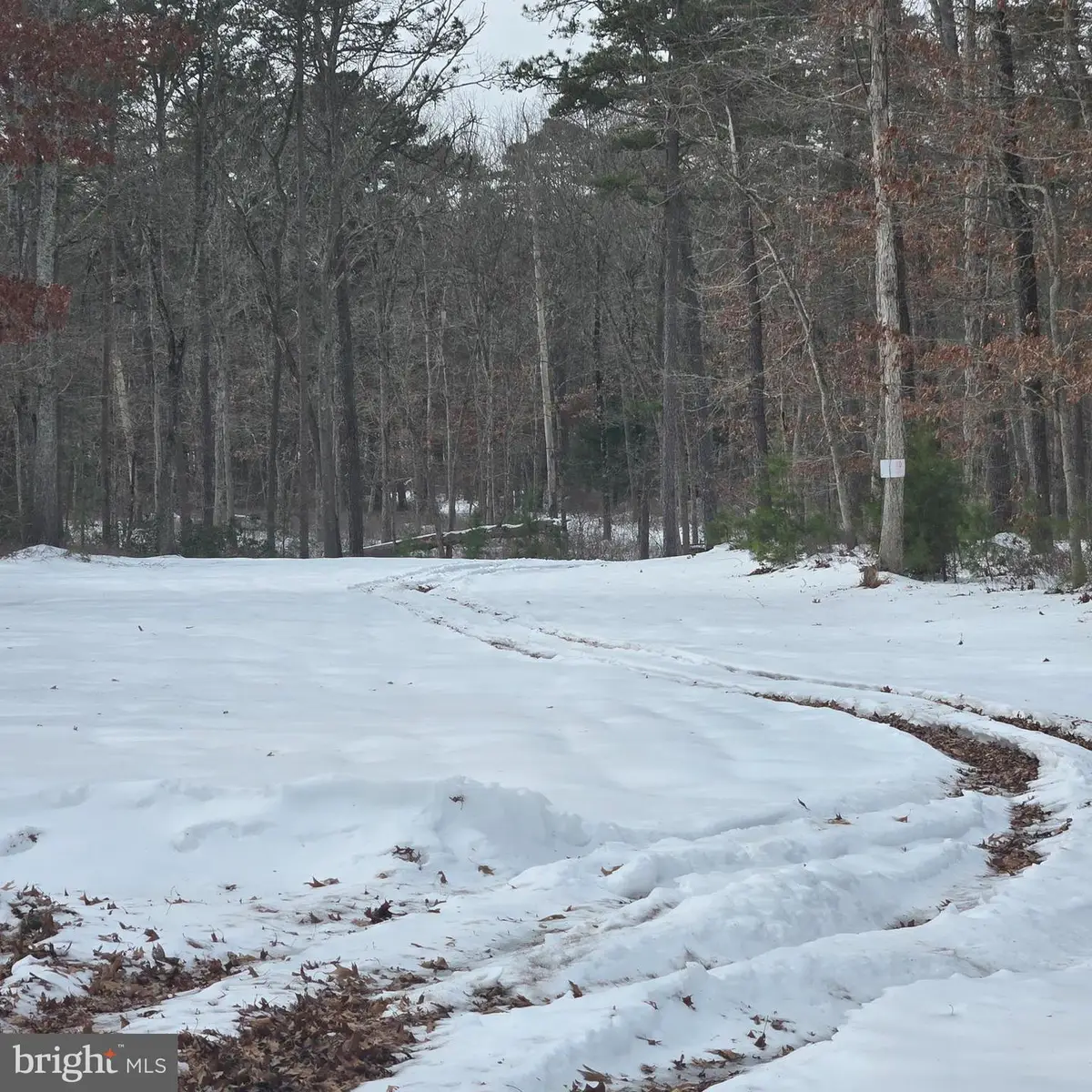 Lloyd Terrace, Millville, NJ 08332 - #1