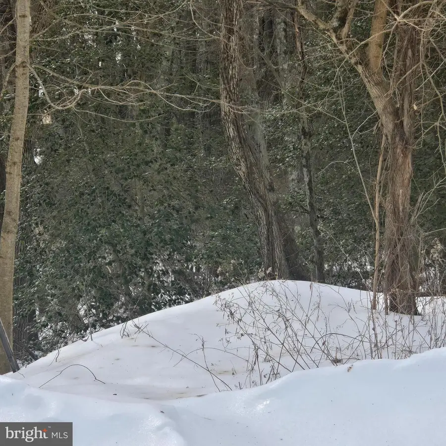 Lloyd Terrace, Millville, NJ 08332 - #2