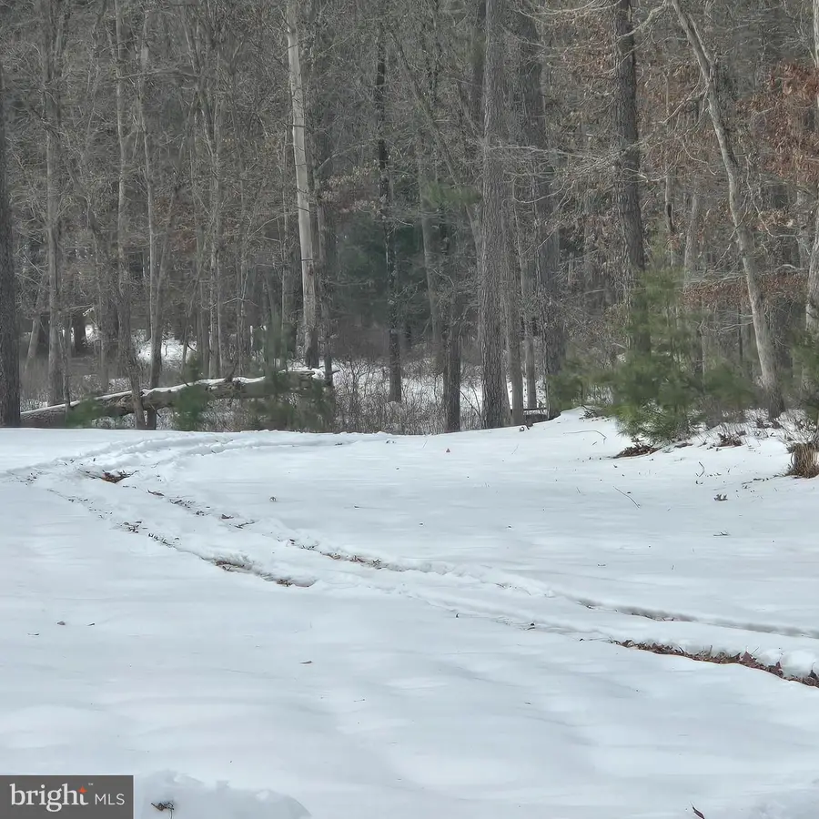 Lloyd Terrace, Millville, NJ 08332 - #3