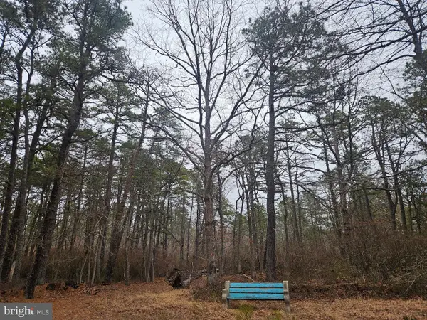 Deerwood Avenue, MILMAY, NJ 08340