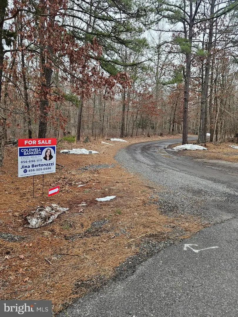 Deerwood Avenue, Milmay, NJ 08340 - #3