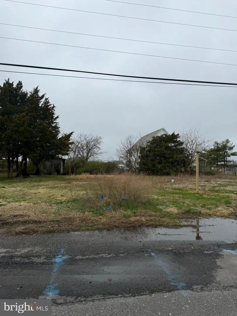 124 Newport Ave, Fortescue, NJ 08321 - #2